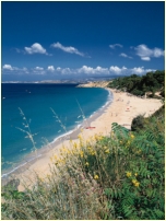 Shore Line